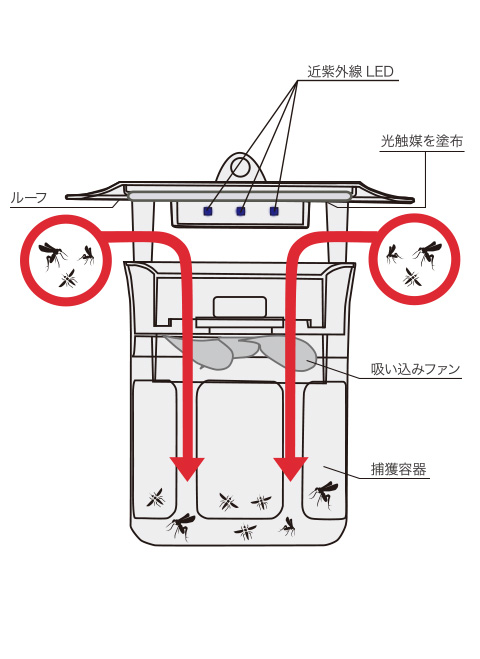 MOSピュア[IS1]構造図