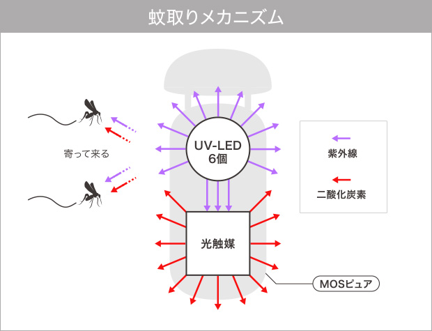 蚊取りメカニズム